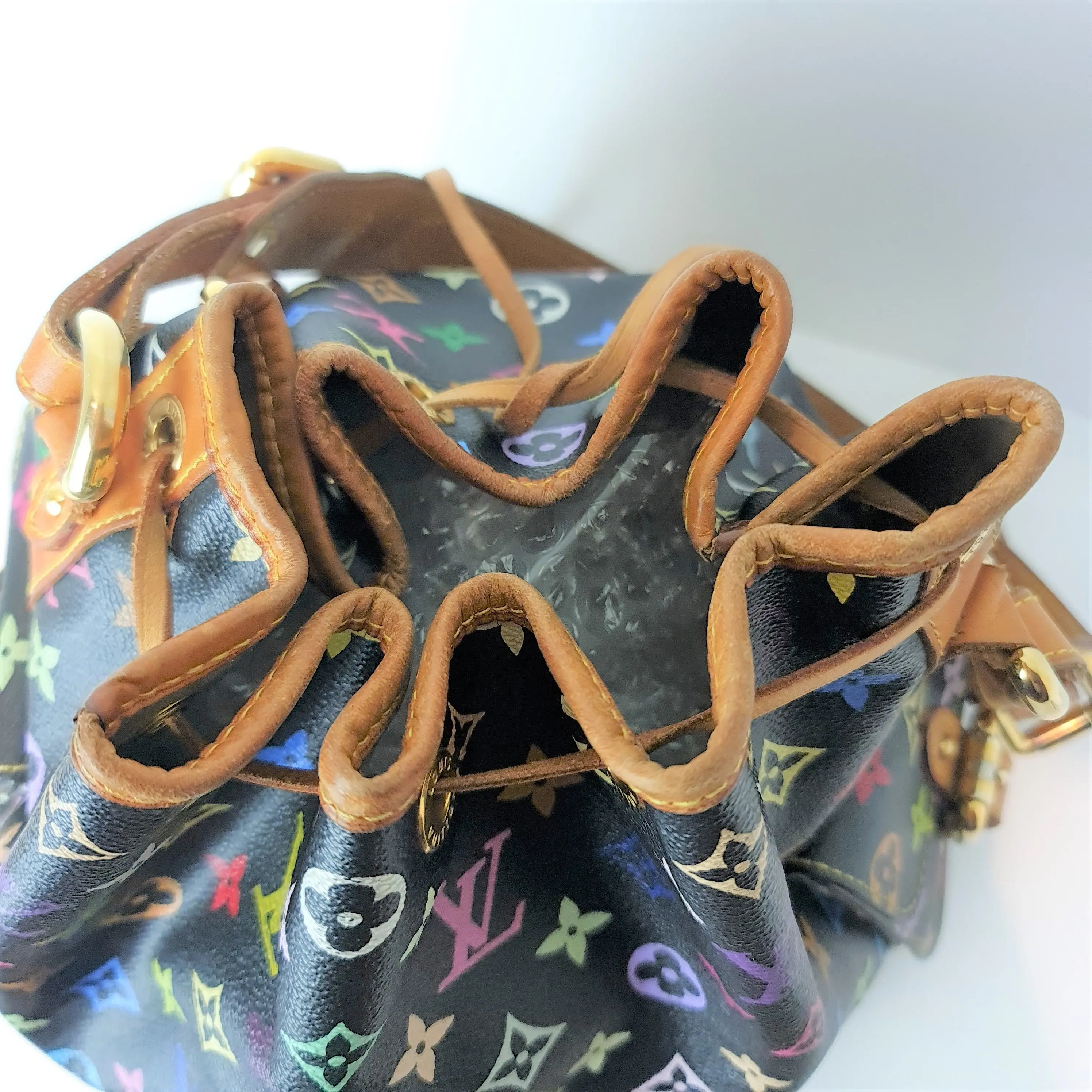 Louis Vuitton Noir Multicolore Petit Noe Bag - Image 13