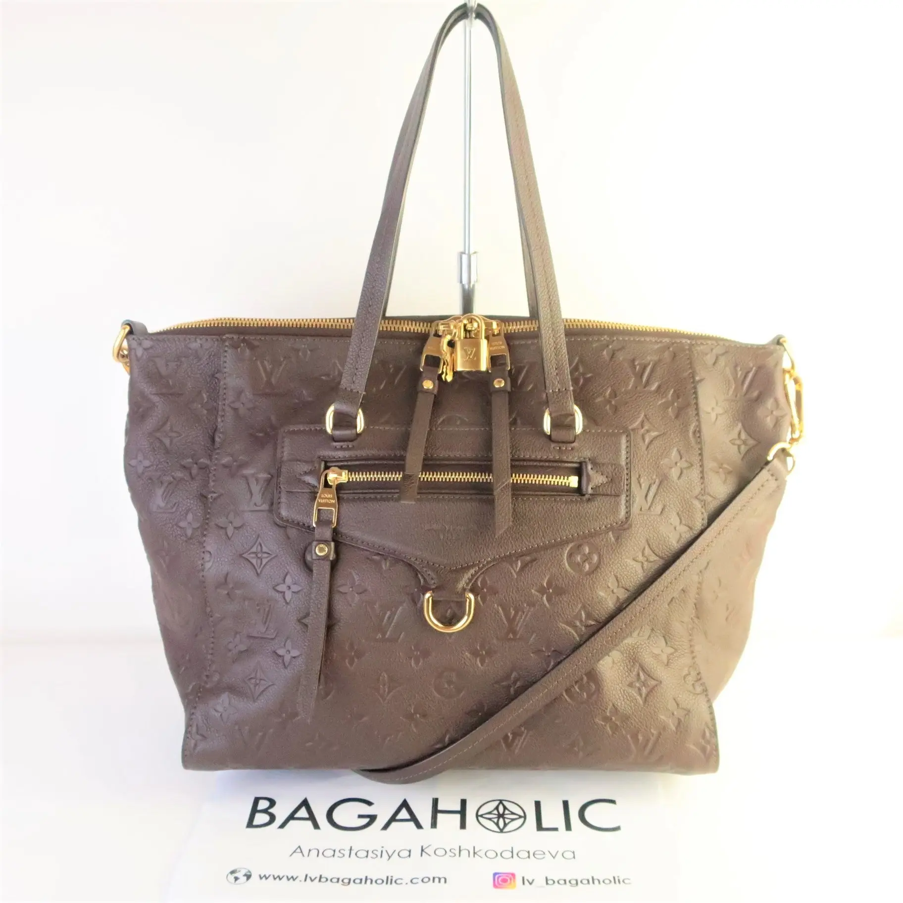 Louis Vuitton Brown Terre Monogram Empreinte Lumineuse PM Bag - Image 3