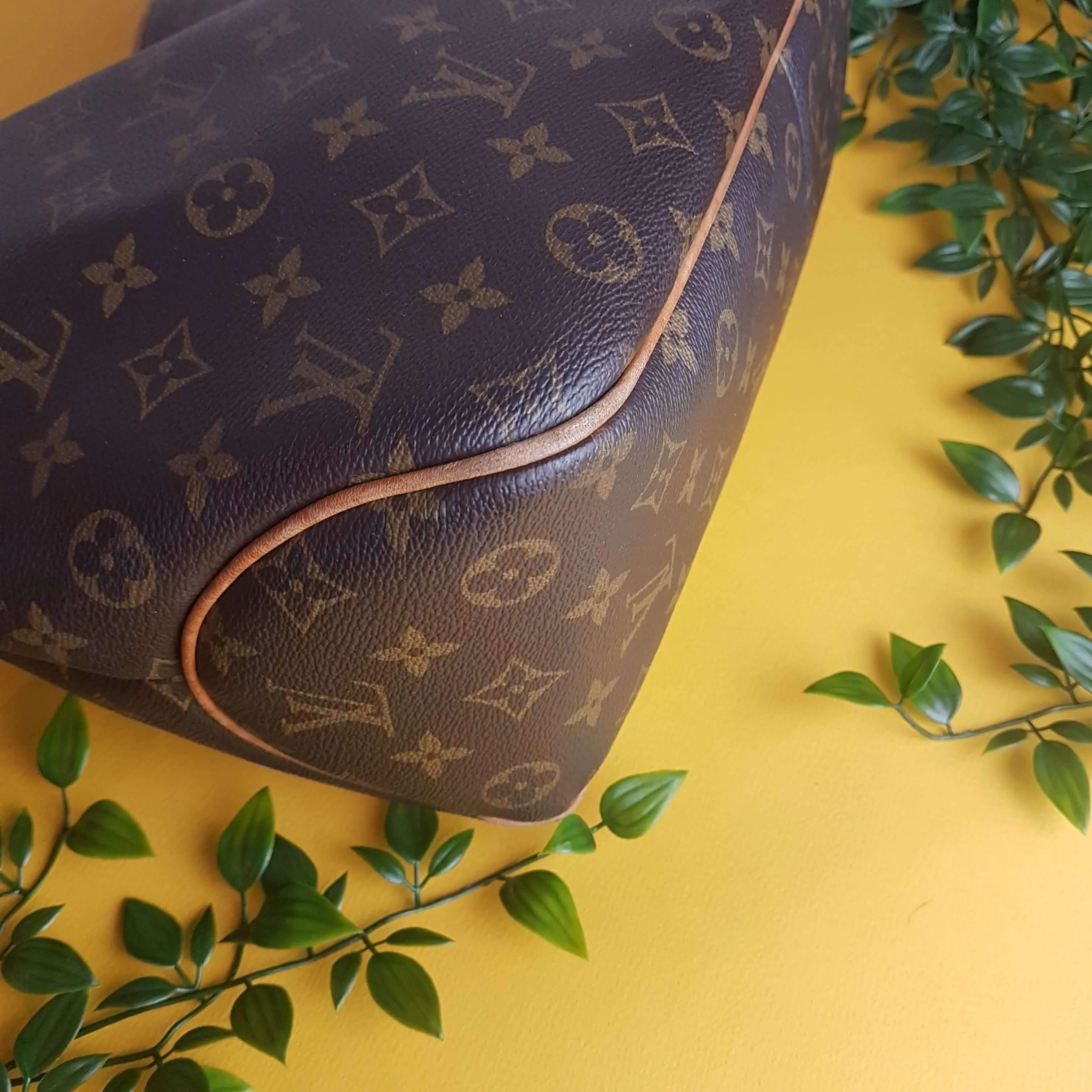 Louis Vuitton Delightfull Monogram Bag - Image 7