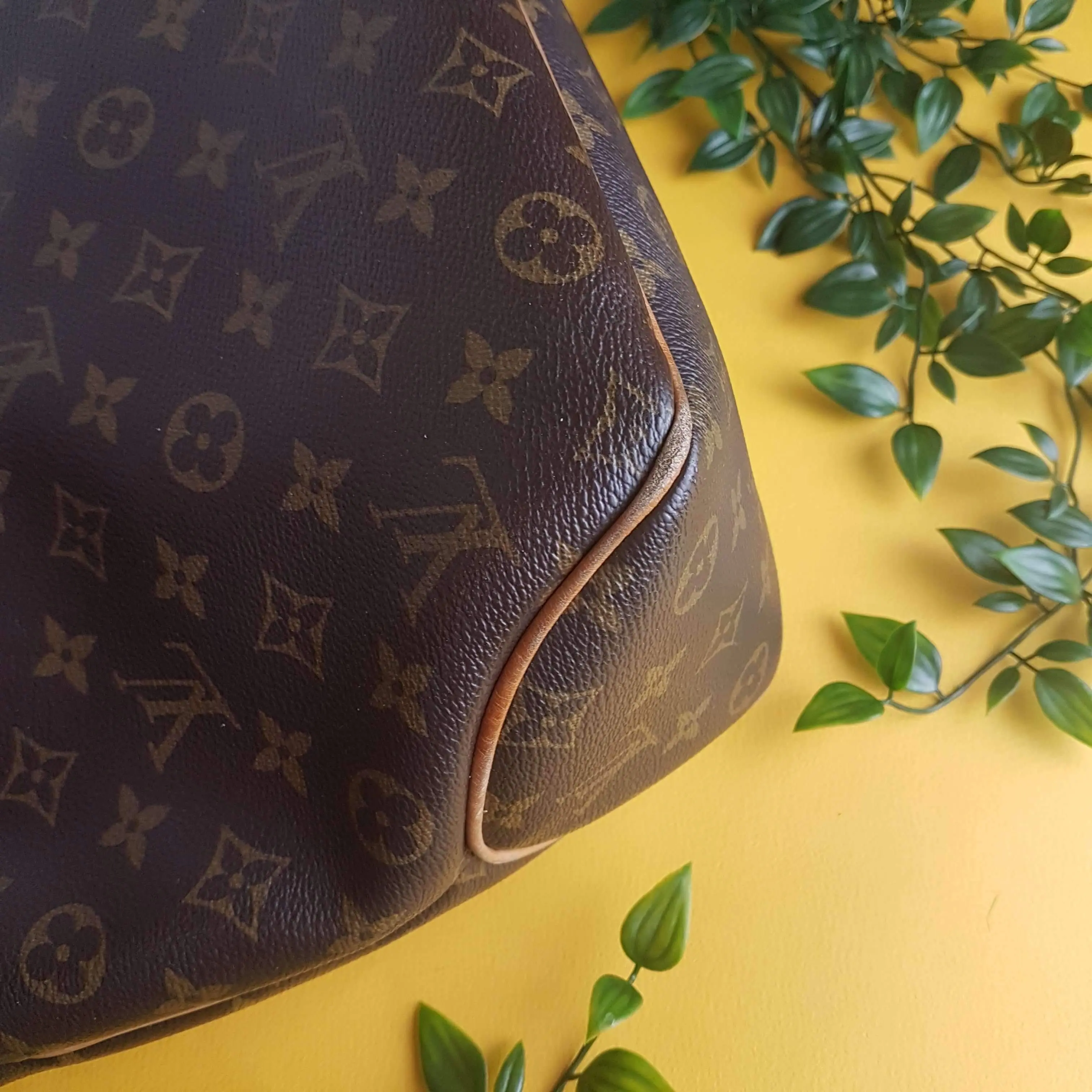 Louis Vuitton Delightfull Monogram Bag - Image 8