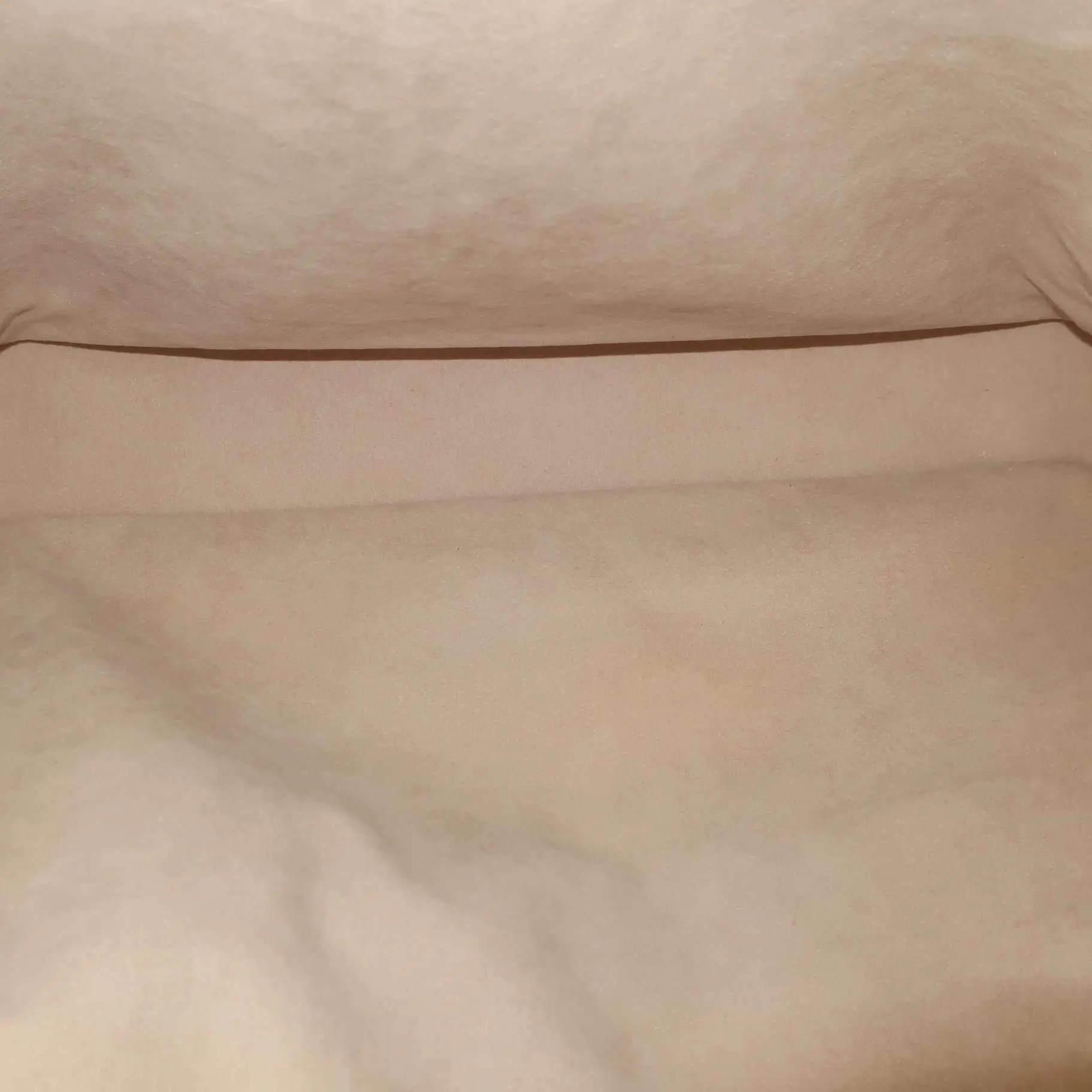 Louis Vuitton Fersen Dentellle Silver Monogram bag - Image 31