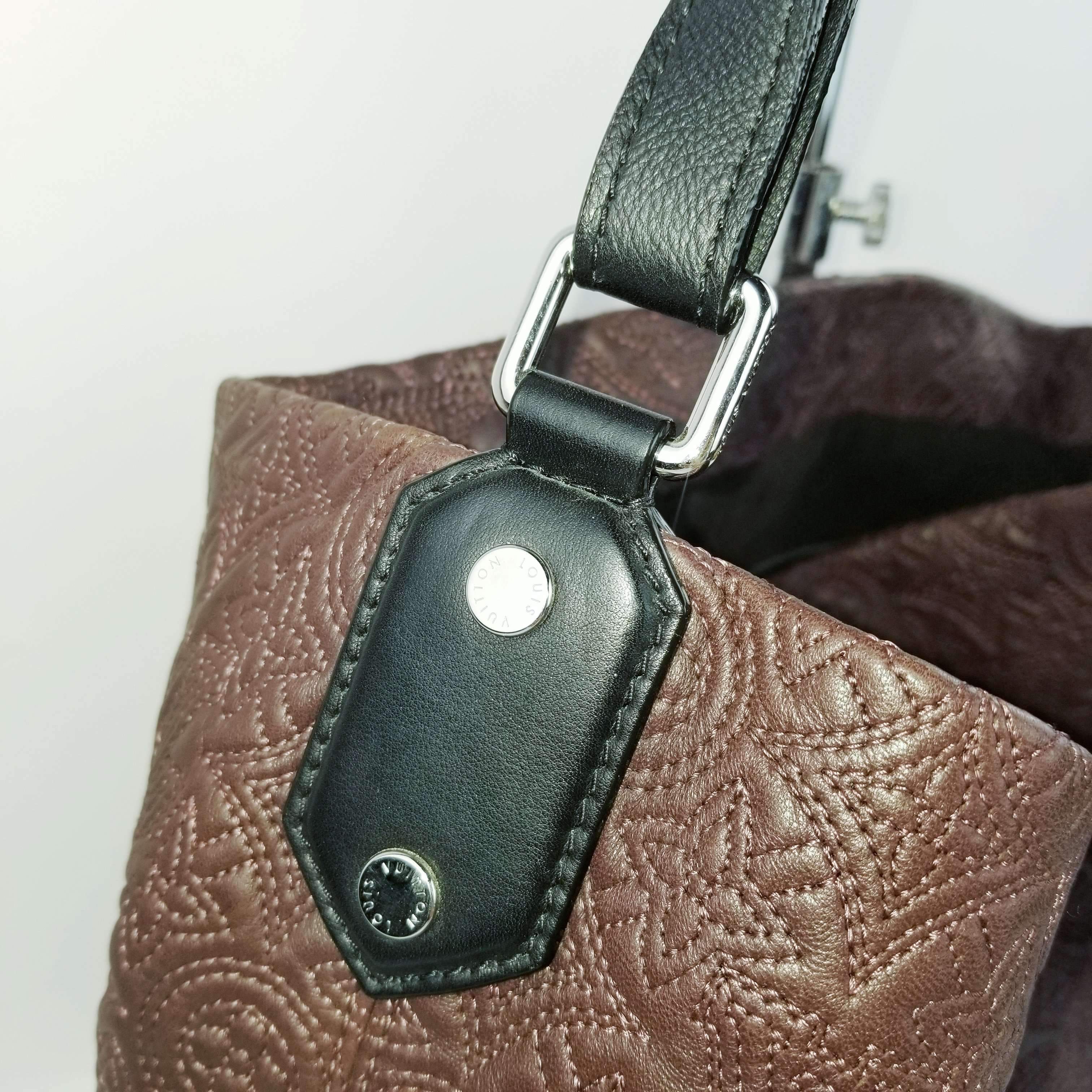 Louis Vuitton Iris Monogram Antheia Leather Hobo PM Bag - Image 4