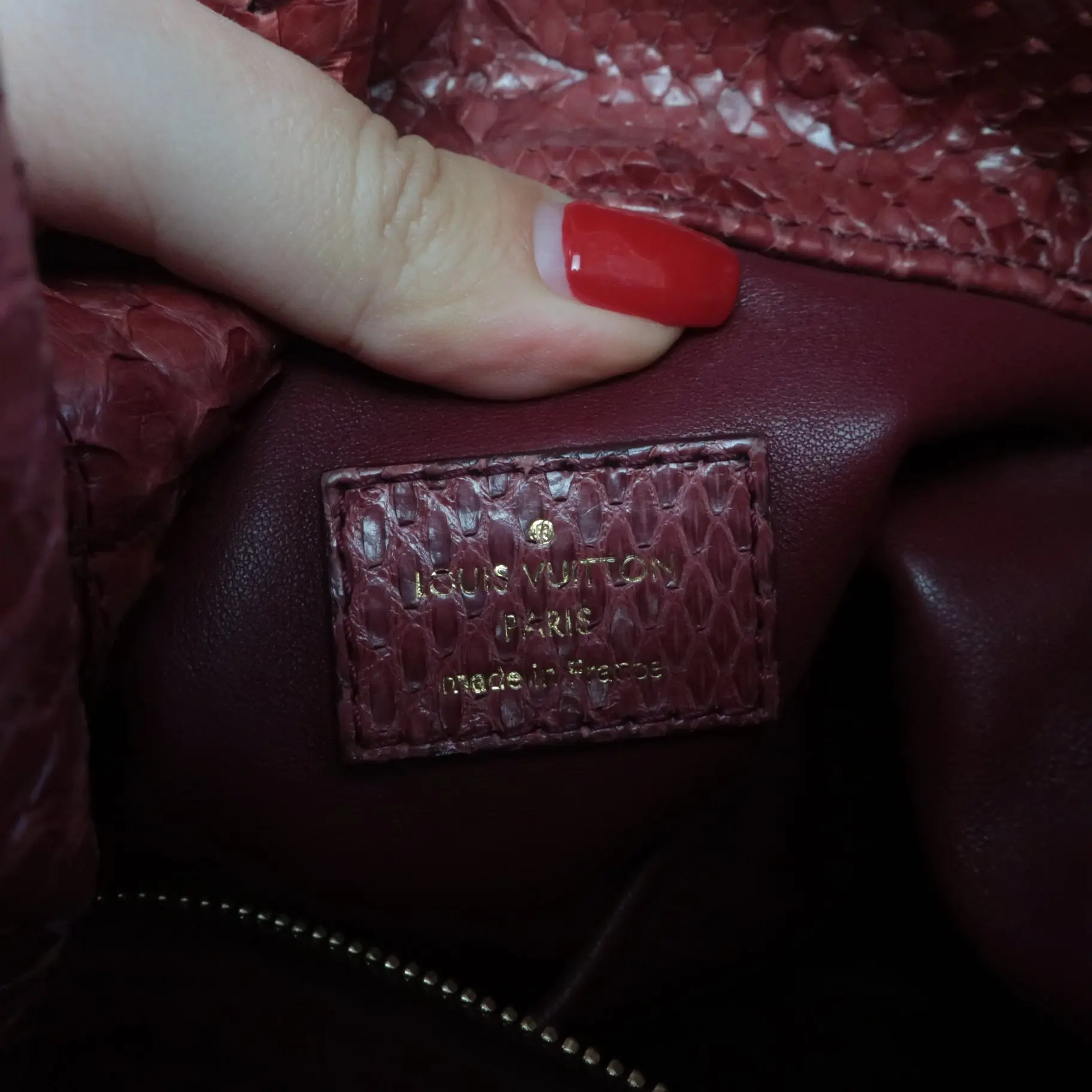 Louis Vuitton Limited Edition Artsy MM Python Bag - Image 12