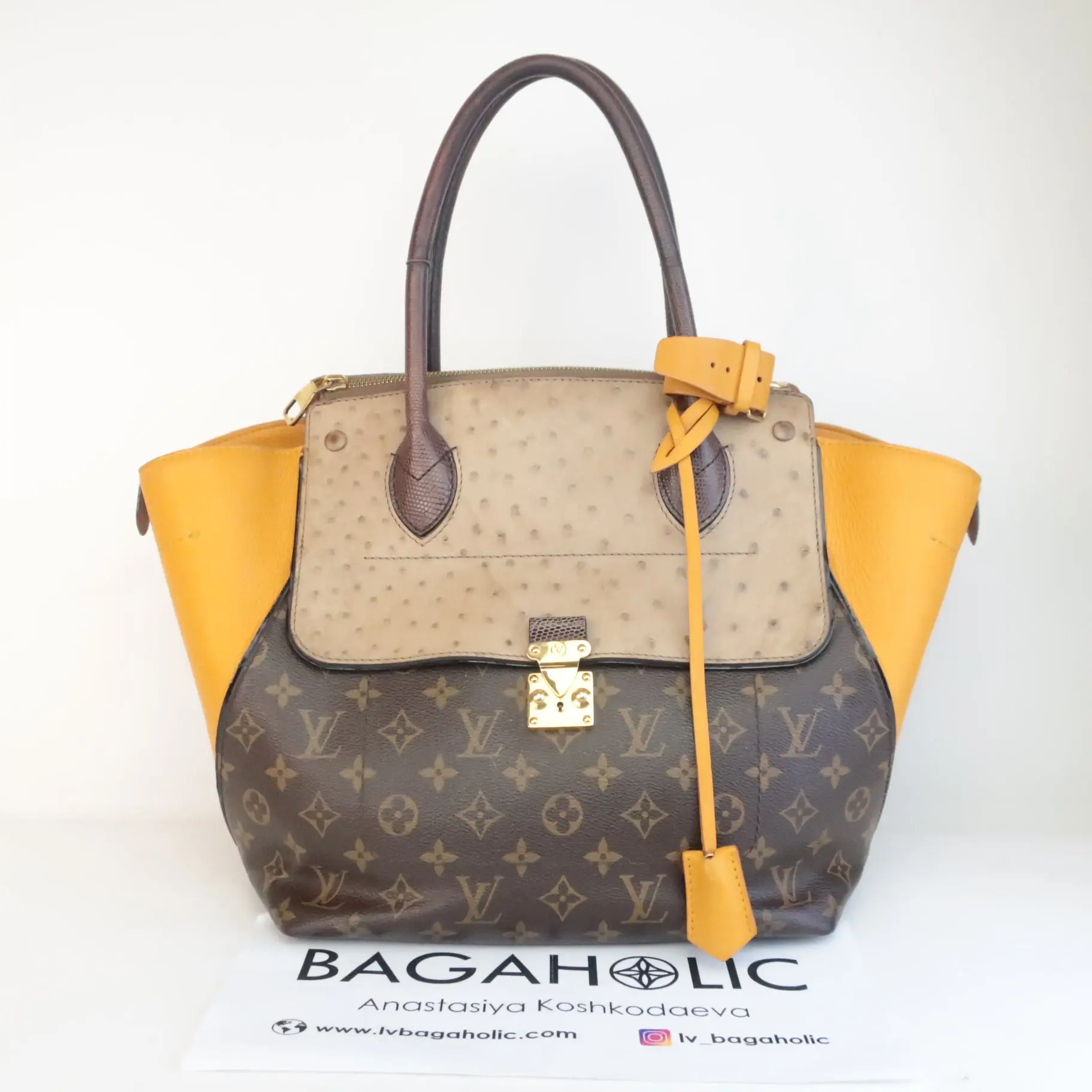 Louis Vuitton Limited Edition Exotics Ostrich Le Majestueux Bag - Image 3