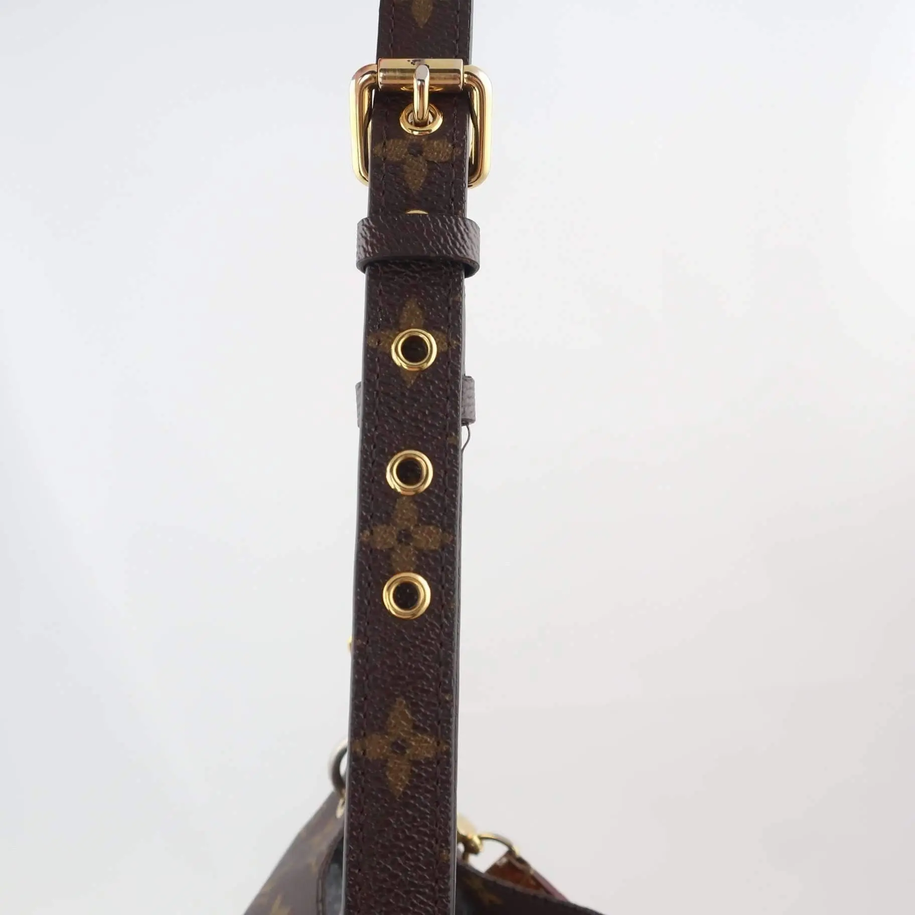 Louis Vuitton Metis Hobo Monogram Bag - Image 23