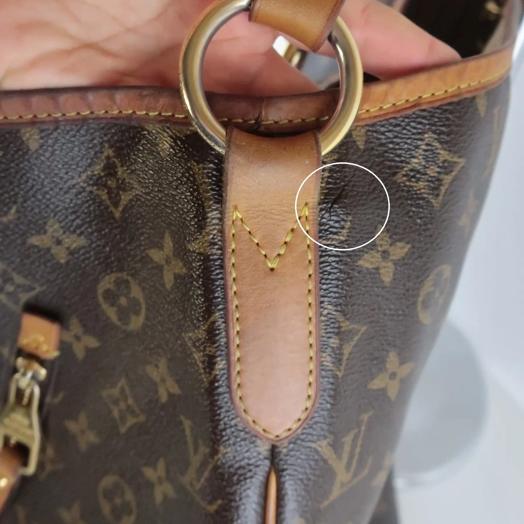 Louis Vuitton Monogram Canvas Delightful GM hobo Bag - Image 12
