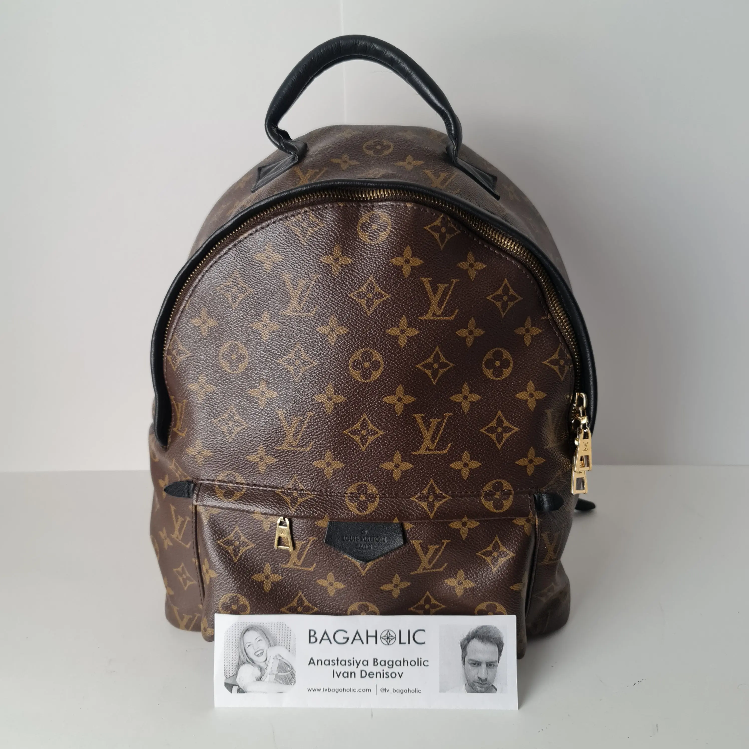 Louis Vuitton Monogram Canvas Palm Springs MM Backpack (766) - Image 2