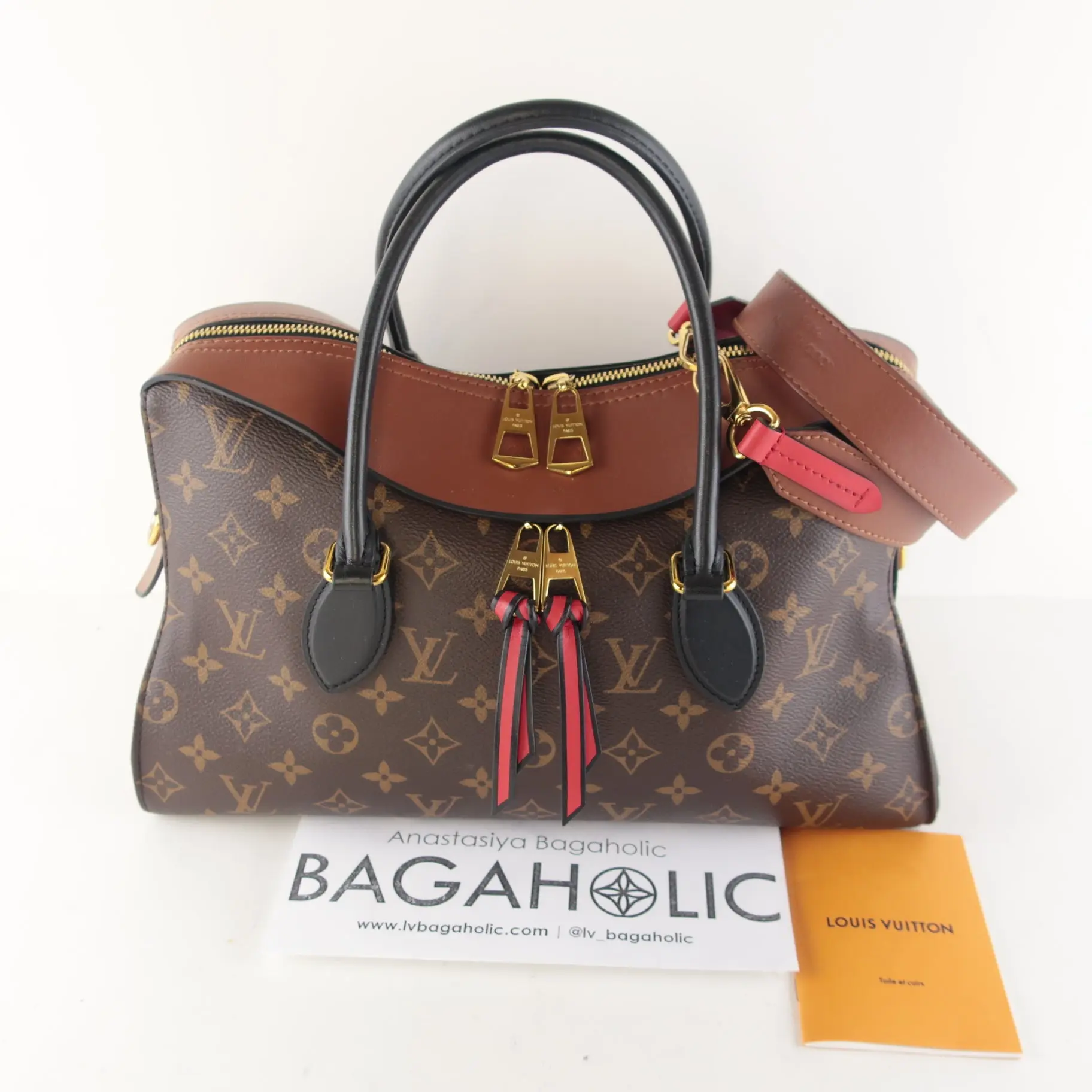 Louis Vuitton Monogram Canvas Tuileries NM bag - Image 3