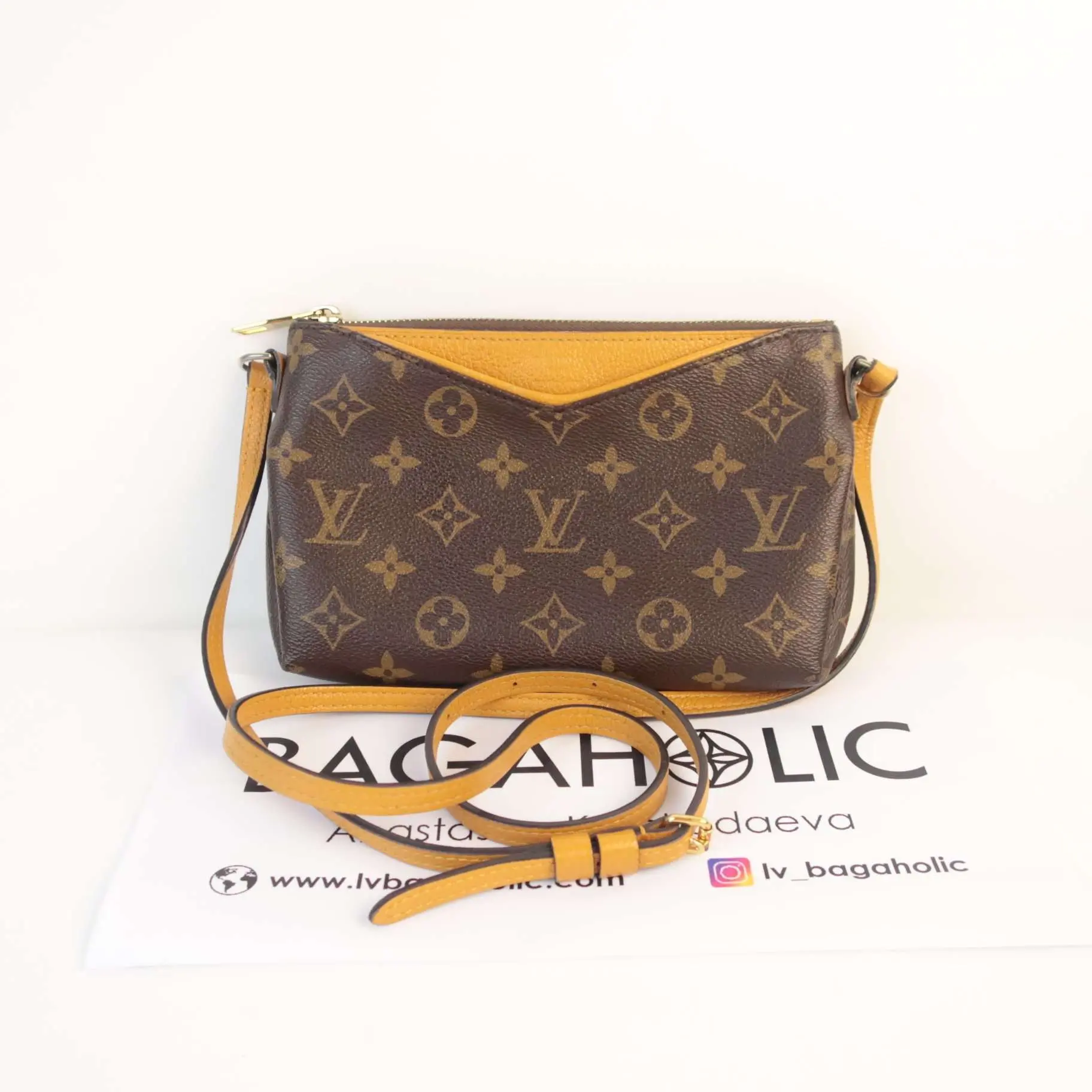 Louis Vuitton Monogram Safran Pallas Clutch (Employee Edition) - Image 2