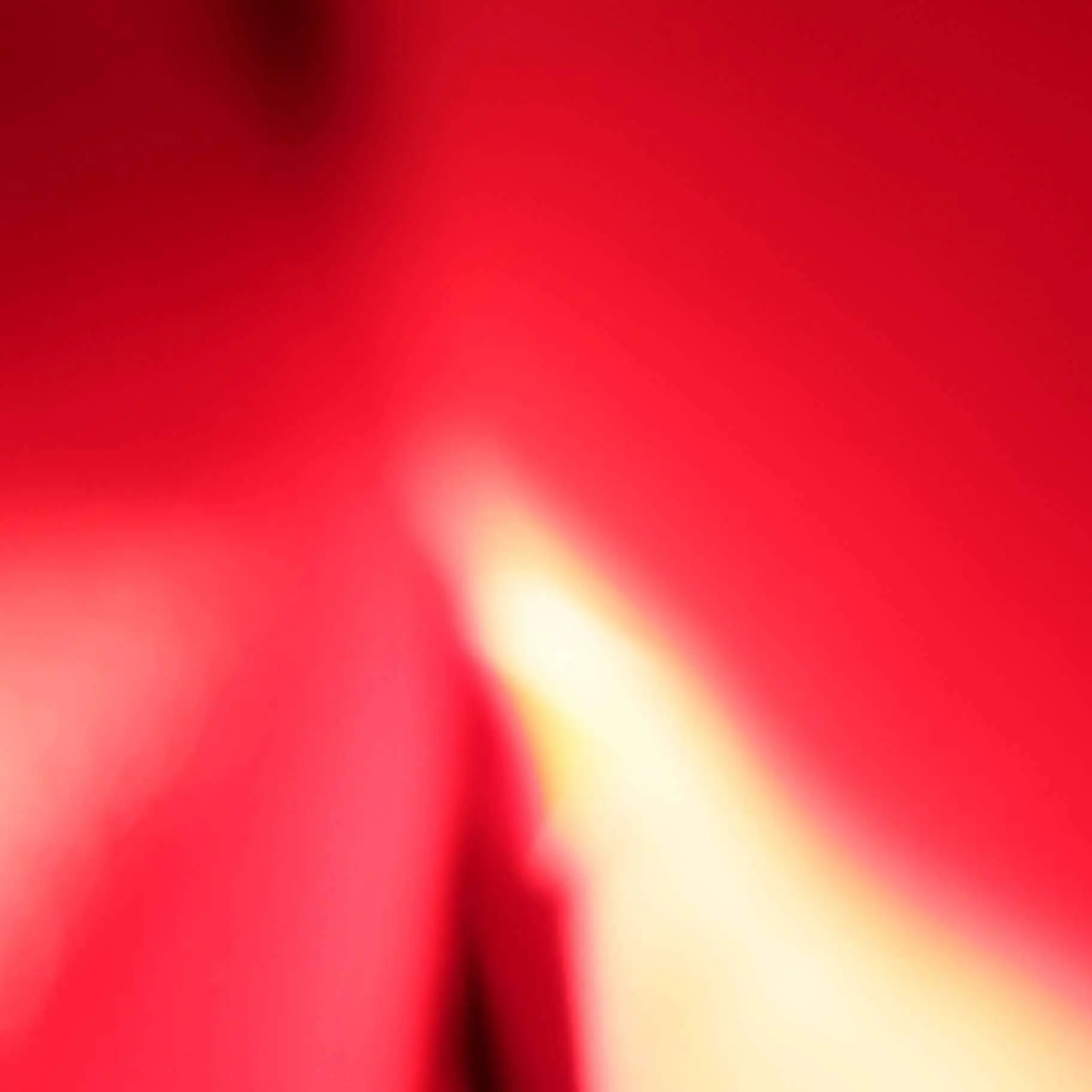 Louis Vuitton NeoNoe NM Shoulder Red Bag - Image 12