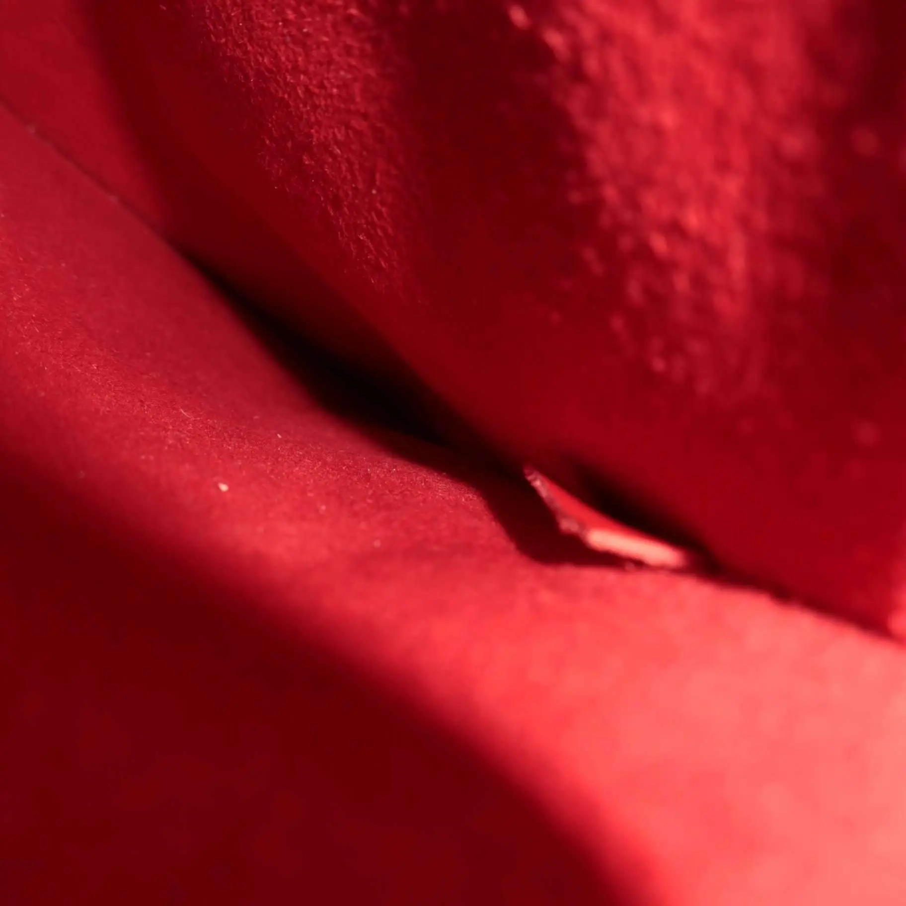 Louis Vuitton NeoNoe NM Shoulder Red Bag - Image 14