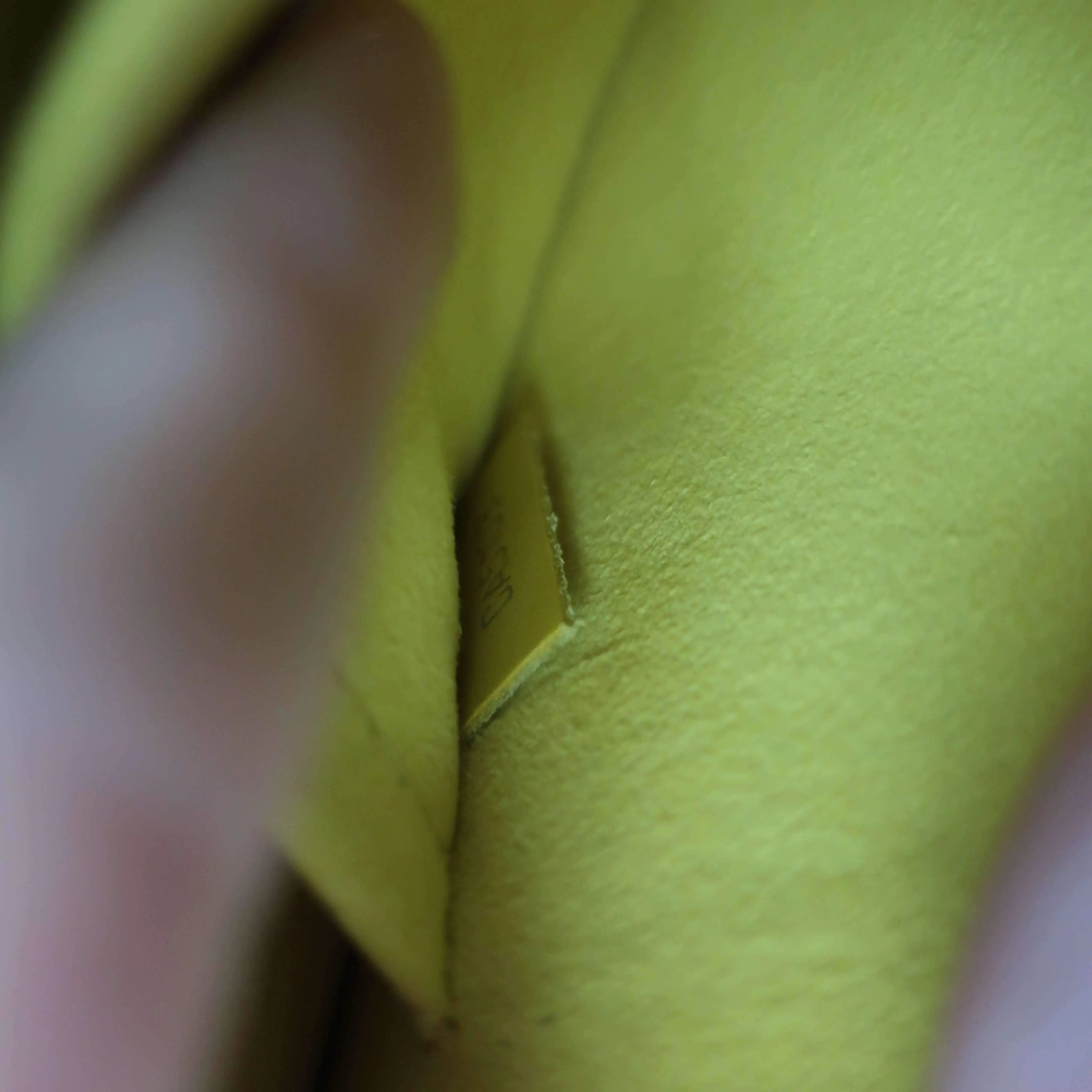 Louis Vuitton Neverfull PM Yellow Epi with Pouch - Image 37