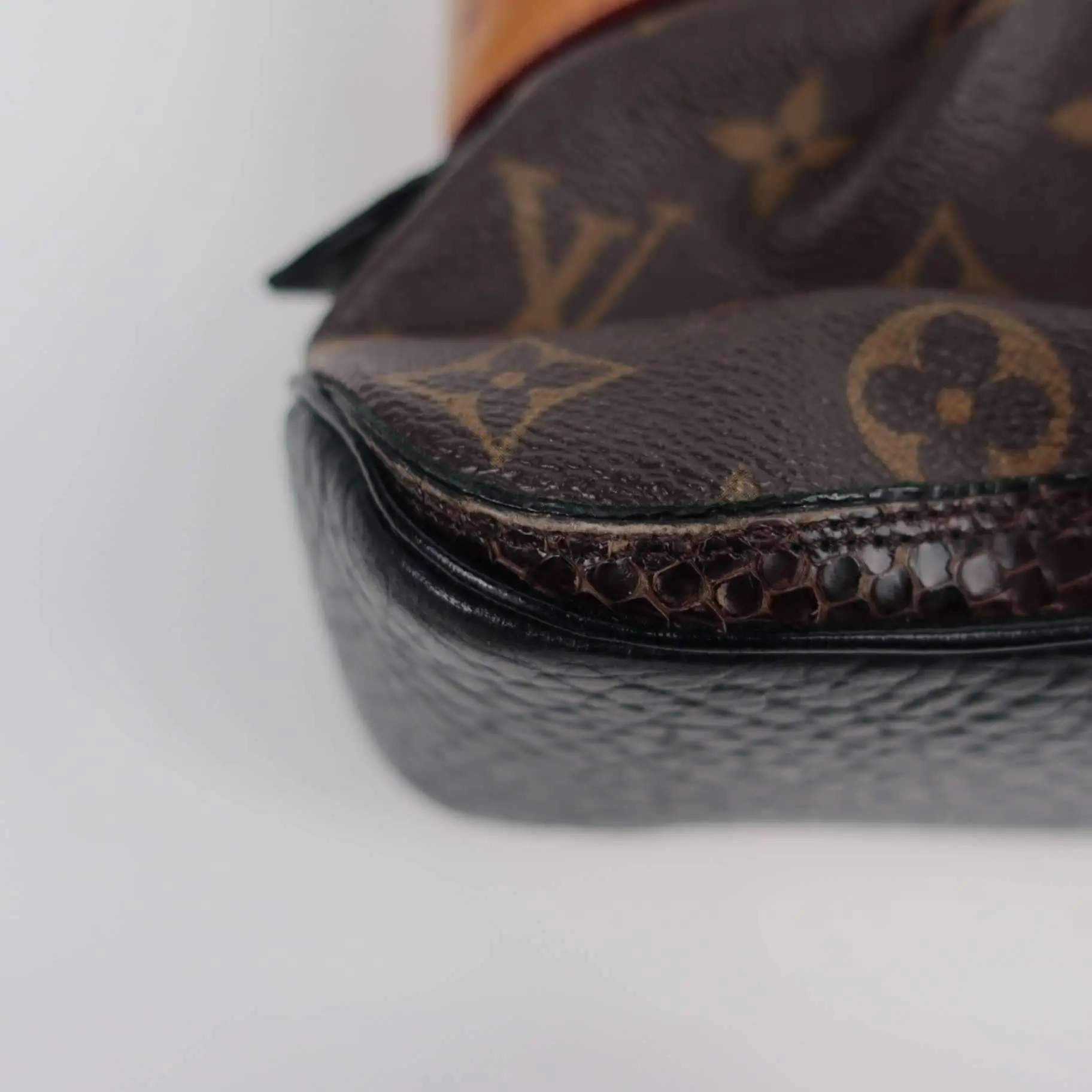 Louis Vuitton Oskar Waltz Ostrich bag - Image 20