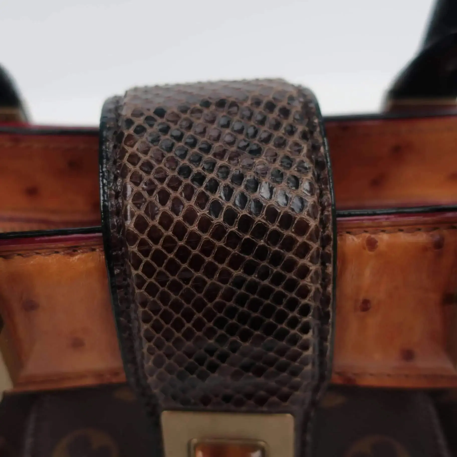 Louis Vuitton Oskar Waltz Ostrich bag - Image 33