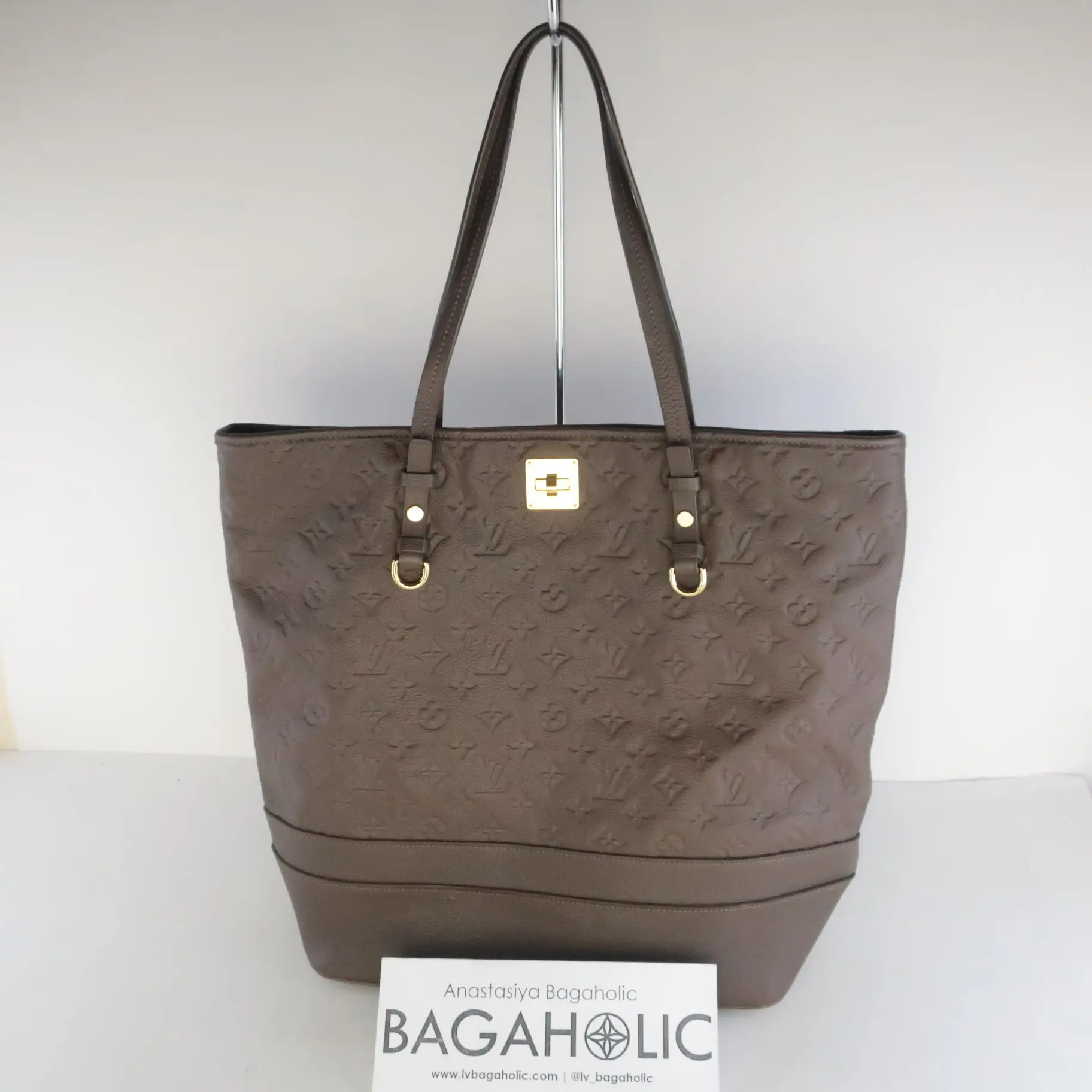 Louis Vuitton Terre Empreinte Citadine GM Tote - Image 2